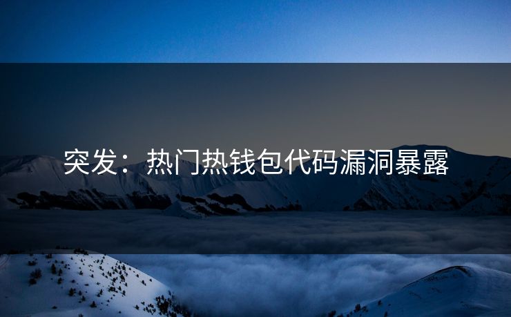 突发：热门热钱包代码漏洞暴露