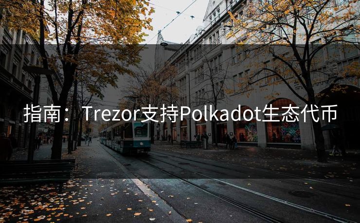 指南：Trezor支持Polkadot生态代币