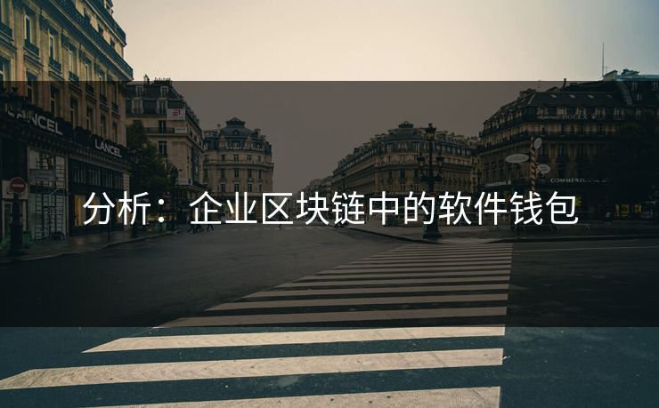 分析：企业区块链中的软件钱包