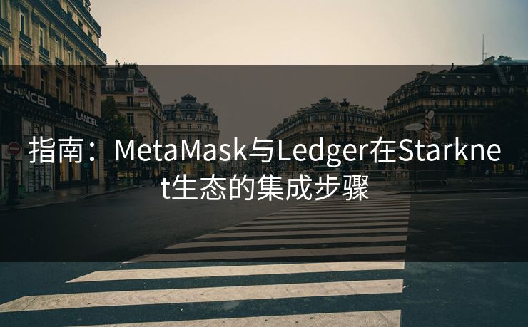 指南：MetaMask与Ledger在Starknet生态的集成步骤